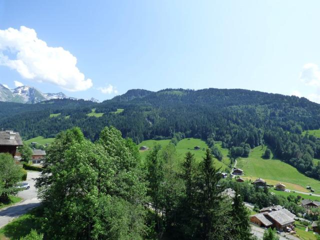 Appartement Le Belvedere - Le Grand Bornand