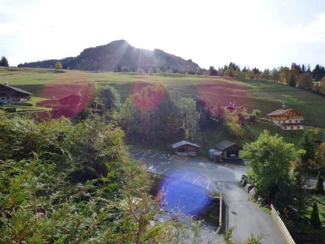 Charmant T2 + coin montagne, idéal familles, proche pistes et commerces - Garage, balcon, 6 pers. FR-1-458-142 - Le Grand Bornand