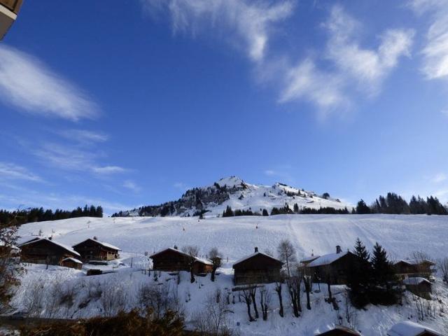 Charmant T2 + coin montagne, idéal familles, proche pistes et commerces - Garage, balcon, 6 pers. FR-1-458-142 - Le Grand Bornand