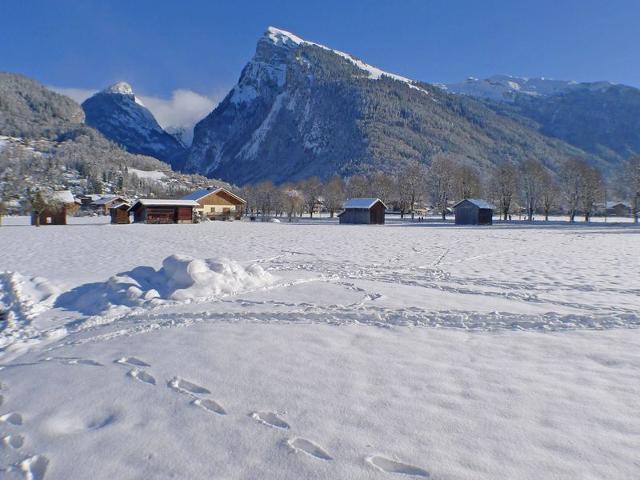 Grand studio avec balcon, animaux admis et parking à Samoëns FR-1-629-34 - Samoëns