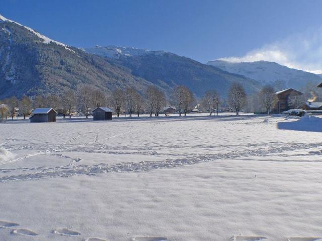 Grand studio avec balcon, animaux admis et parking à Samoëns FR-1-629-34 - Samoëns