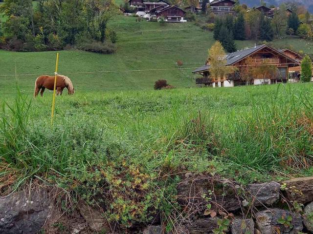 Appartement Samoëns, 3 pièces, 4 personnes - Samoëns