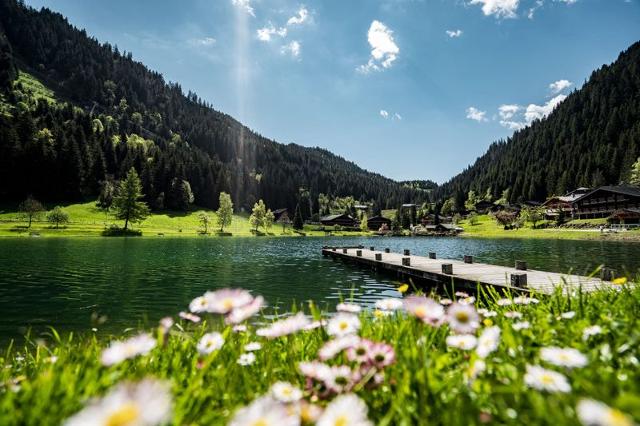 Résidence l'OREE DES PISTES - Châtel