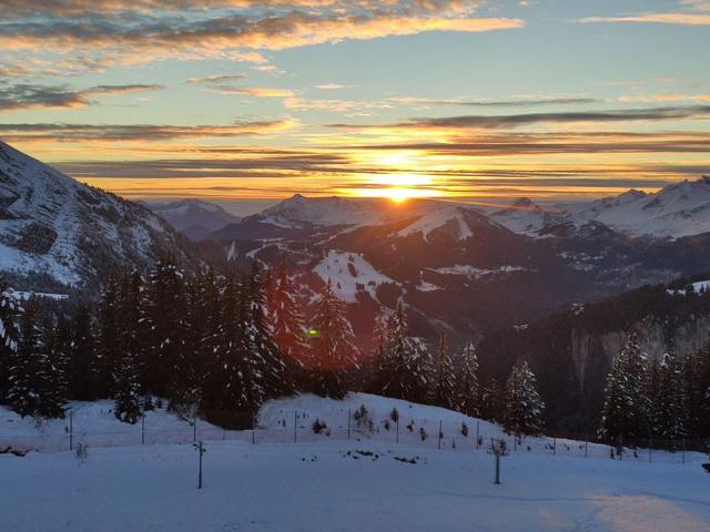 Avoriaz: appart rénové 4 pers, proche pistes, WiFi, casier à skis FR-1-633-32 - Avoriaz