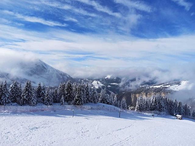 Avoriaz: appart rénové 4 pers, proche pistes, WiFi, casier à skis FR-1-633-32 - Avoriaz