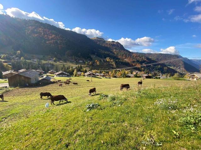 Appartement 3 chambres, terrasse, parking, wifi à La Clusaz FR-1-459-179 - La Clusaz