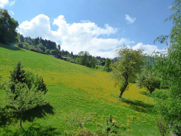 4 Pièces dans petite copropriété calme - Megève