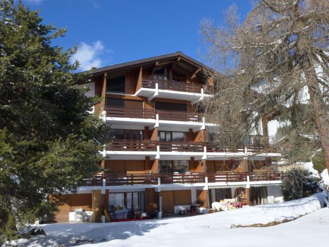 Appartement Vert Pré 3 - Bagnes - Verbier