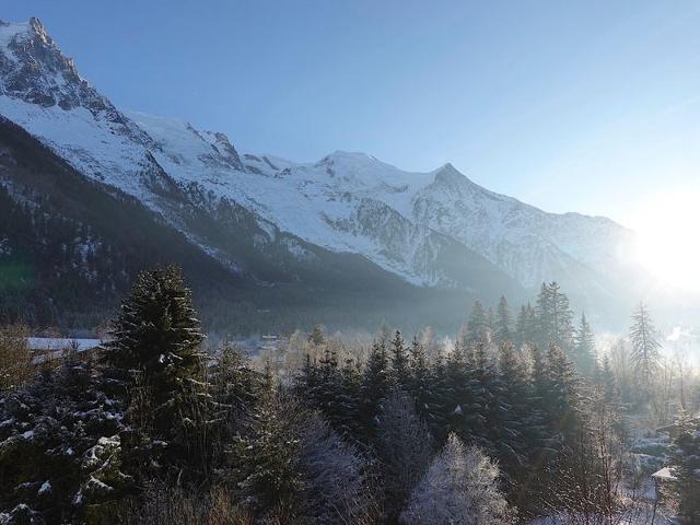 T4 rénové avec vue Mont-Blanc, 4 étoiles, proche centre, parking FR-1-507-62 - Chamonix Sud