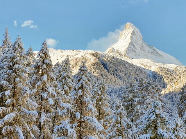 Appartement Nirwana - Zermatt