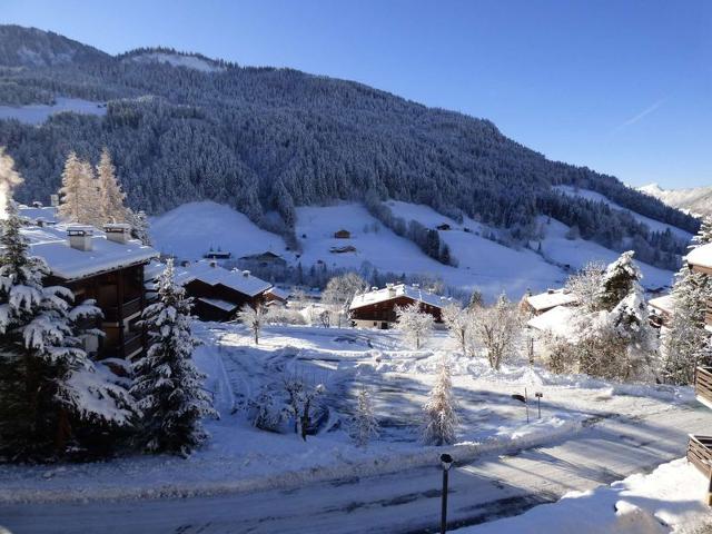 Studio cosy 4 personnes avec balcon et parking au Grand Bornand FR-1-458-154 - Le Grand Bornand