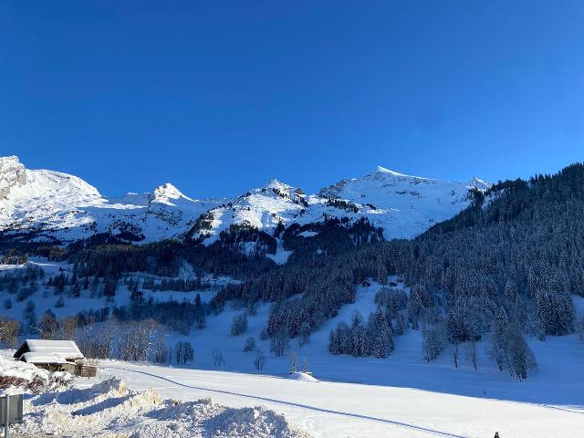 Appartement La Clusaz, 2 pièces, 6 personnes - La Clusaz