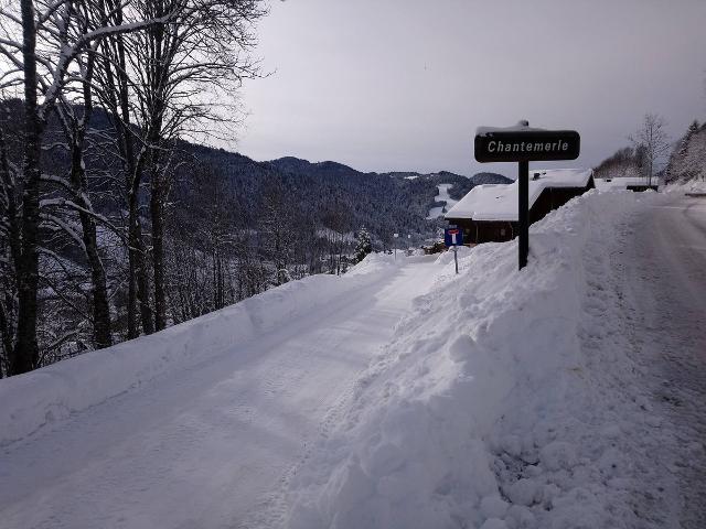 Les Gets - Appartement avec très belle vue sur les pistes - Les Gets