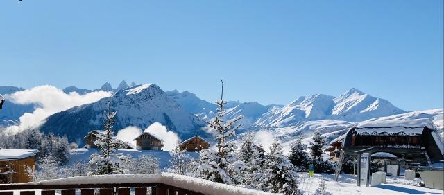 CHALET DE LA TOUSSUIRE - La Toussuire