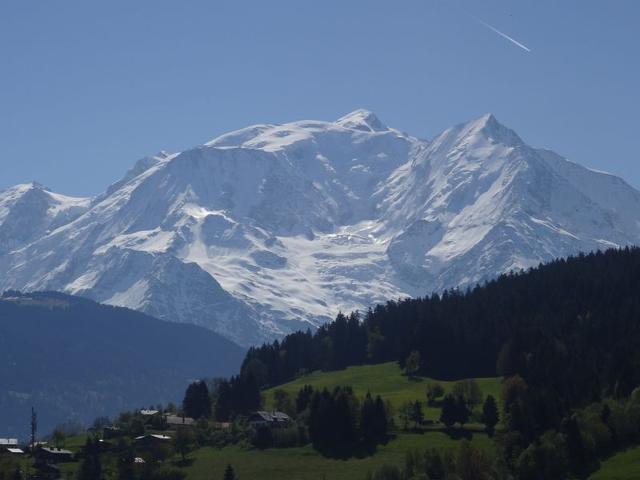 Charmant 2 pièces au centre de Combloux avec vue Mont Blanc FR-1-560-9 - Combloux