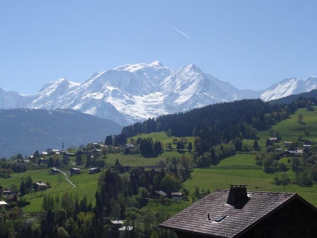 Charmant 2 pièces au centre de Combloux avec vue Mont Blanc FR-1-560-9 - Combloux