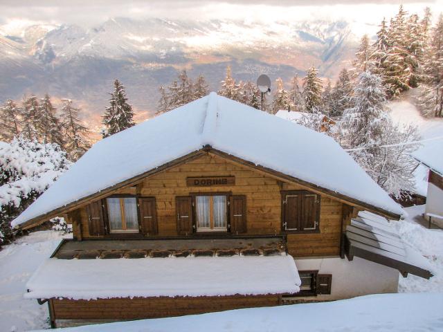 Châlet Dorine - Nendaz