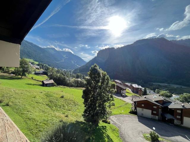 Appartements CHAUMIERE DES NEIGES - Châtel