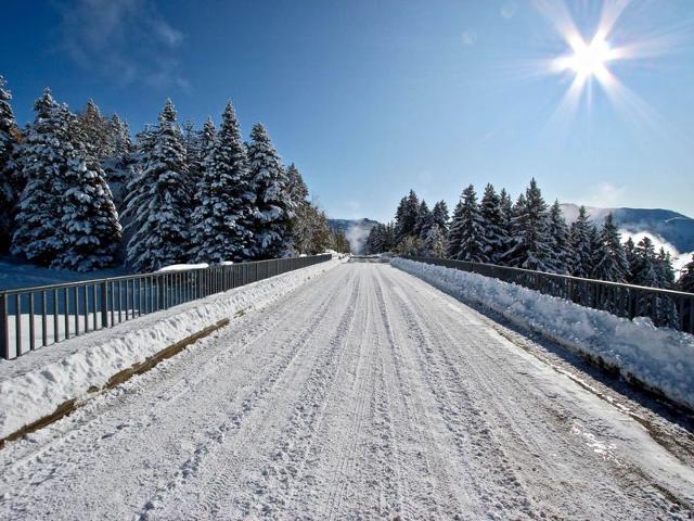 Appartement cocooning pour 4 pers, Chamrousse, animaux admis FR-1-549-104 - Chamrousse