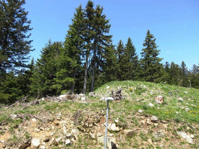 Appartement cocooning pour 4 pers, Chamrousse, animaux admis FR-1-549-104 - Chamrousse