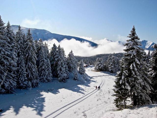 Appartement Chamrousse, 2 pièces, 4 personnes - Chamrousse