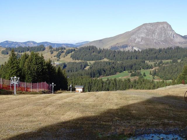 Appartement Avoriaz, 3 pièces, 6 personnes - Avoriaz