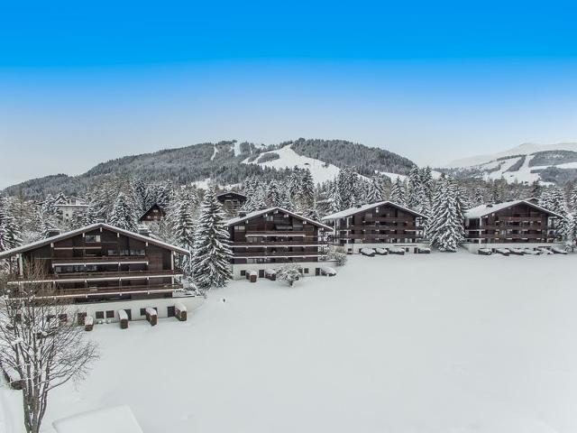 Appartement 3 pièces avec balcon, cheminée et parking – À 400m des pistes et du golf, Megève Mont d'Arbois FR-1-453-254 - Megève