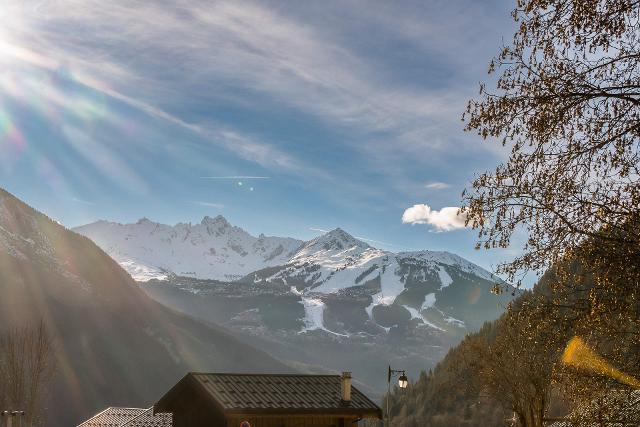 Appartements LE GRAND BOUQUETIN - Plagne - Champagny en Vanoise