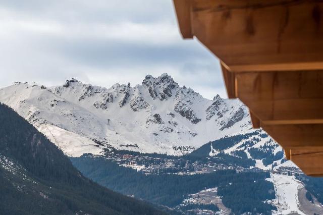 Appartements LE GRAND BOUQUETIN - Plagne - Champagny en Vanoise