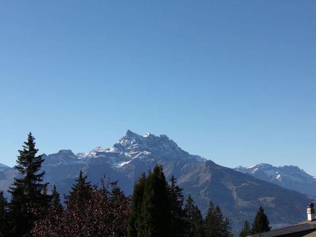 Châlet Rose des Vents 4 - Villars - sur - Ollons 