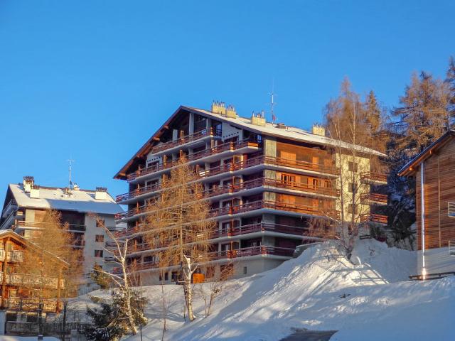 Appartement Quille du Diable 4 - Nendaz