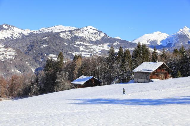 Studio Grand Morillon - 104 - Montagne Belle Vue Studio 4 - Morillon 1100 Les Esserts