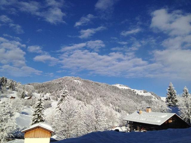 Appartement avec terrasse pour 6 personnes proche pistes à La Clusaz FR-1-459-199 - La Clusaz