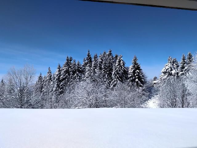 Studio Chamrousse, 1 pièce, 4 personnes - Chamrousse