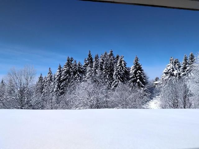 Studio cabine avec jardin, 24m², Chamrousse 1650, idéal pour famille, équipements complets FR-1-340-265 - Chamrousse