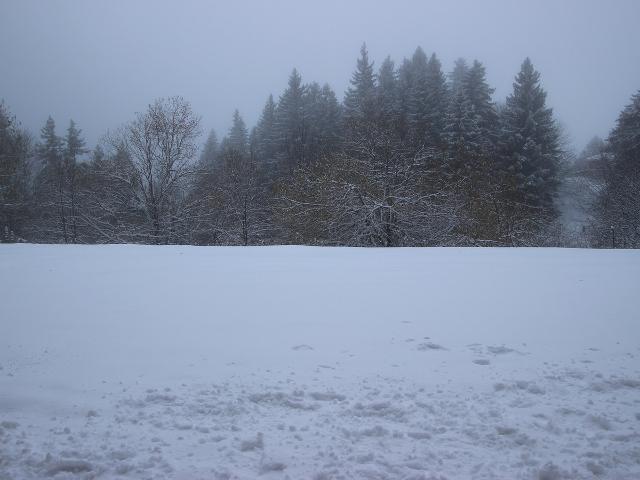 Studio Chamrousse, 1 pièce, 4 personnes - Chamrousse