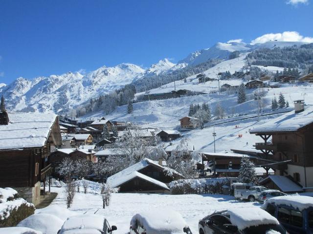 Charmant Studio Cabine proche des Pistes, Village et Commerces - Location Idéale La Clusaz FR-1-459- - La Clusaz