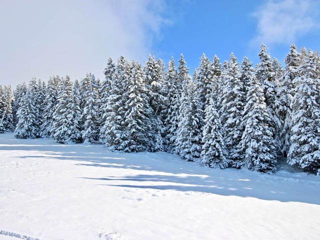 Studio cabine cosy avec balcon, au pied des pistes et des commerces. FR-1-340-267 - Chamrousse