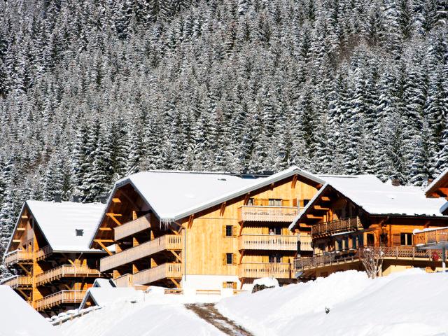 Appartement Le Grand Ermitage - Châtel