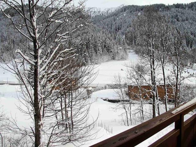 Appartement 3 pièces avec balcon et garage proche des pistes FR-1-459-142 - La Clusaz