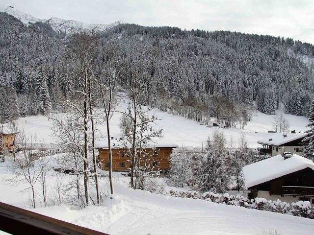 Appartement 3 pièces avec balcon et garage proche des pistes FR-1-459-142 - La Clusaz