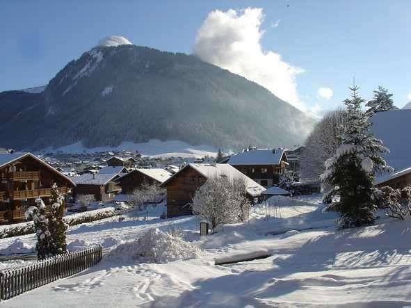 Appartements LE PICARON - Morzine