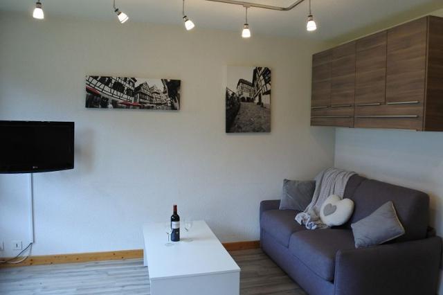 Appartements LE PICARON - Morzine