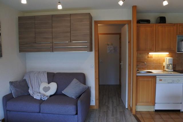 Appartements LE PICARON - Morzine