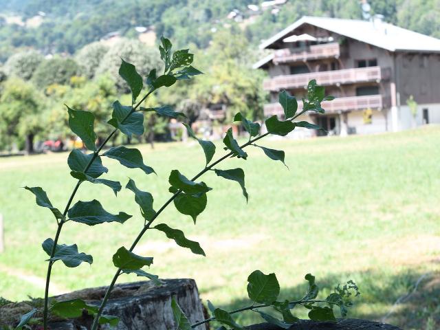 Appartement Samoëns, 4 pièces, 8 personnes - Samoëns