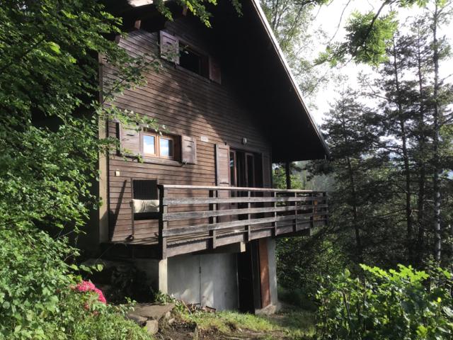 Chalet Les Cochettes -166 - Chalet spacieux 8 pers - Doucy