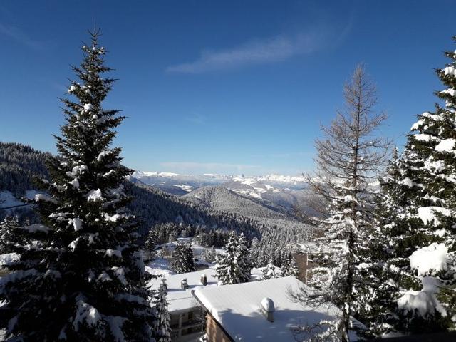 Charmant 2P au RDC d'un chalet avec terrasse, à 200m des pistes - Wi-Fi et animaux acceptés FR-1-340-271 - Chamrousse