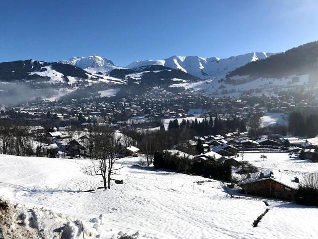 Confortable appartement 3 pièces avec balcon, wifi et garage à Megève FR-1-453-306 - Megève