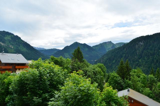 Chalet LES GRENIERS (CHEZ DENIS) - Châtel