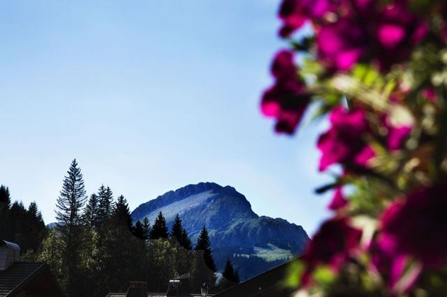 Chalet LE SAVOYARD - Châtel